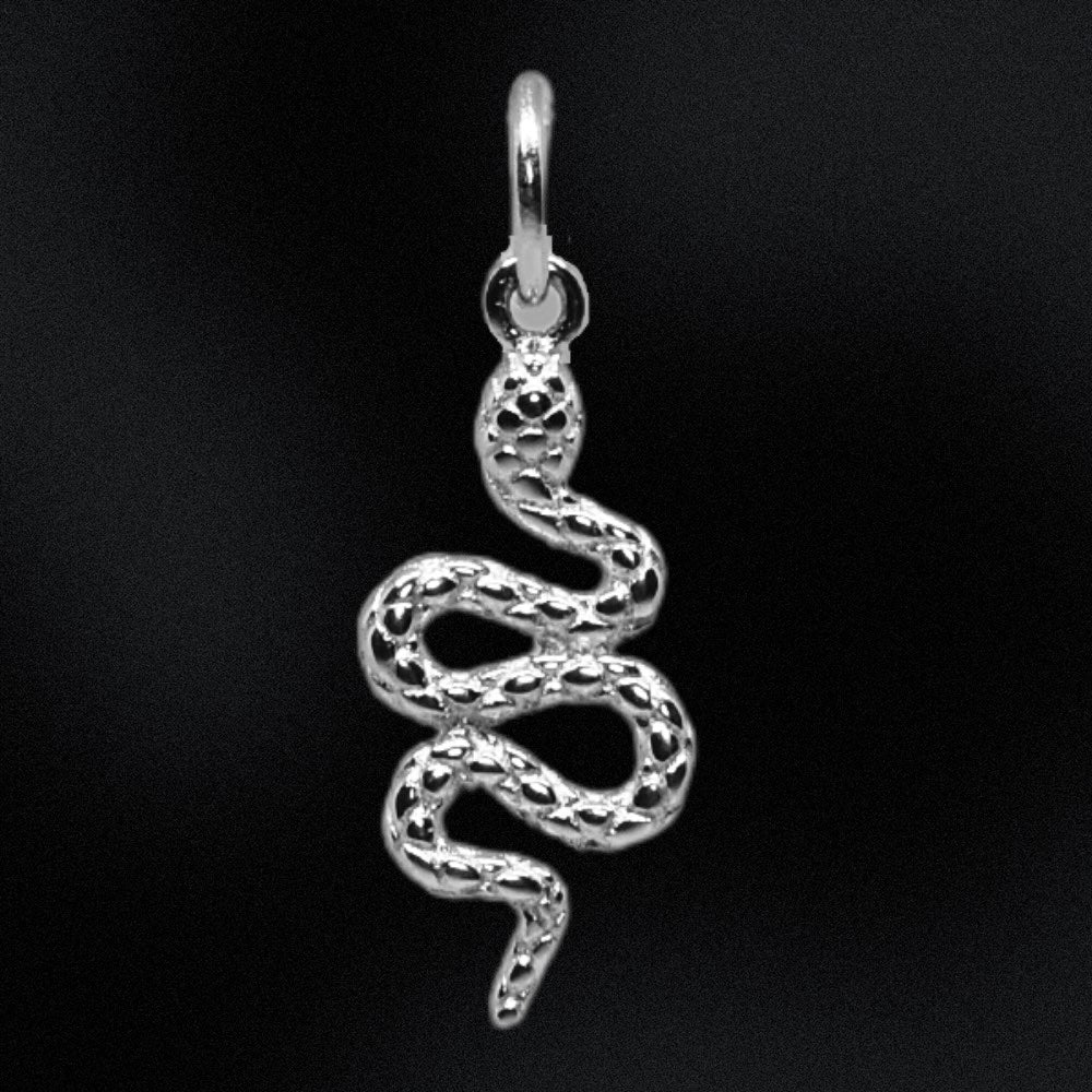 Snake Charm