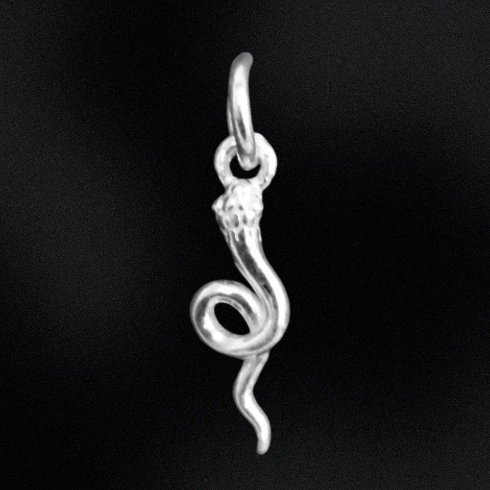 Silver snake pendant on a black background