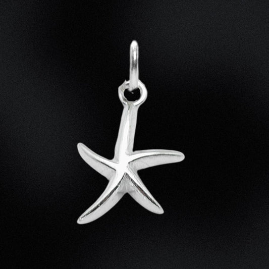 Silver starfish pendant on a black background