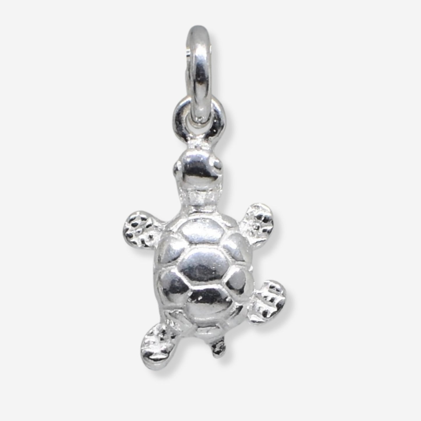 Silver turtle pendant on a white background