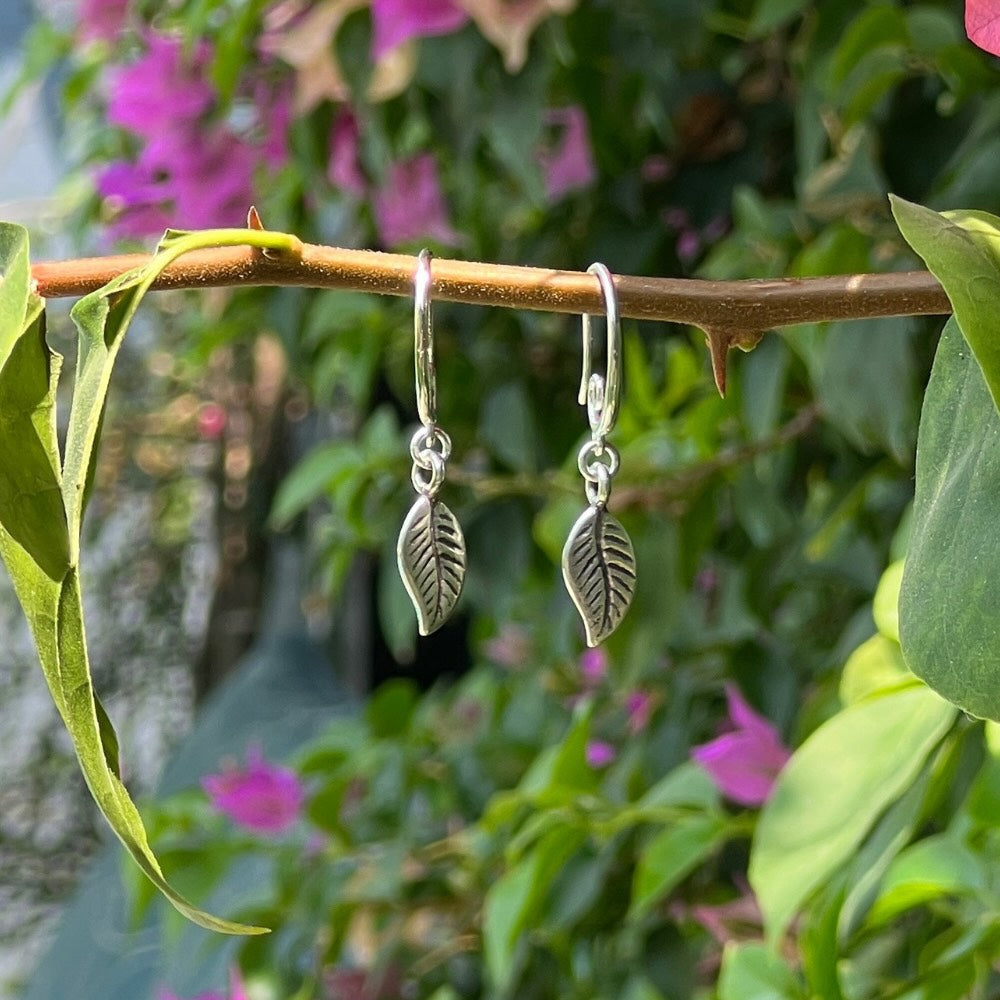 Sterling Silver Leaf Swirl Earrings
