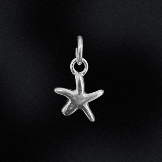 Silver starfish pendant on a black background
