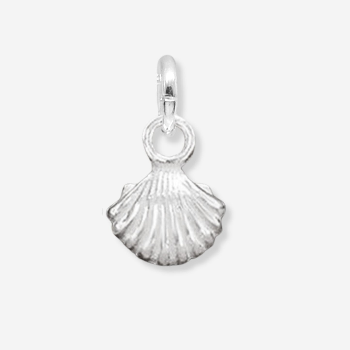 Silver shell pendant on a white background