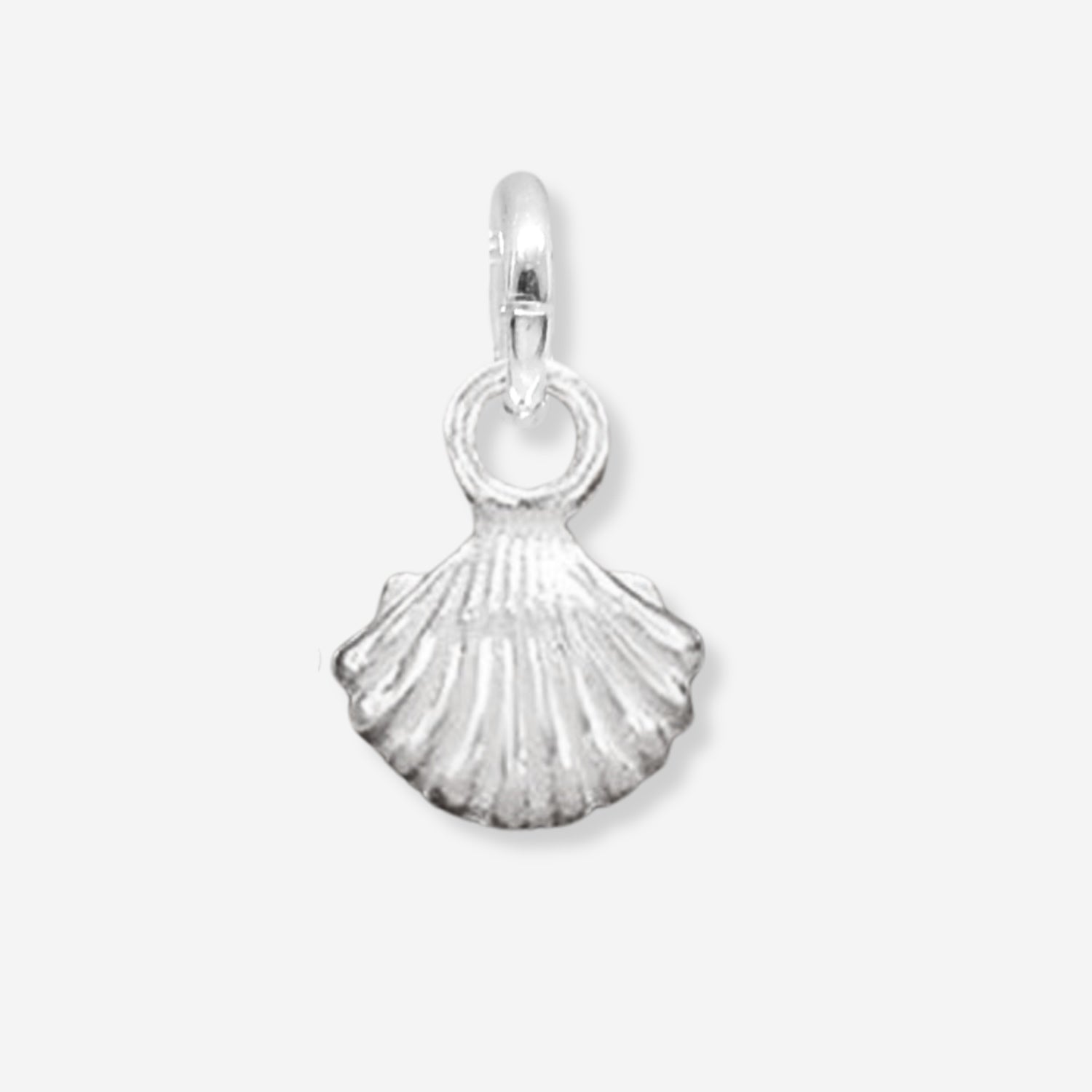 Silver shell pendant on a white background
