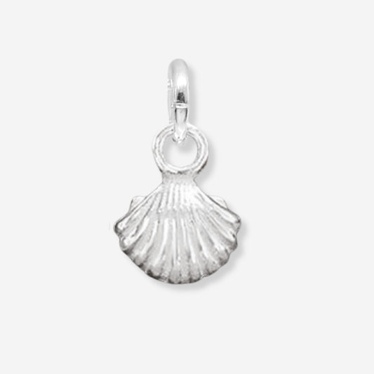 Silver shell pendant on a white background