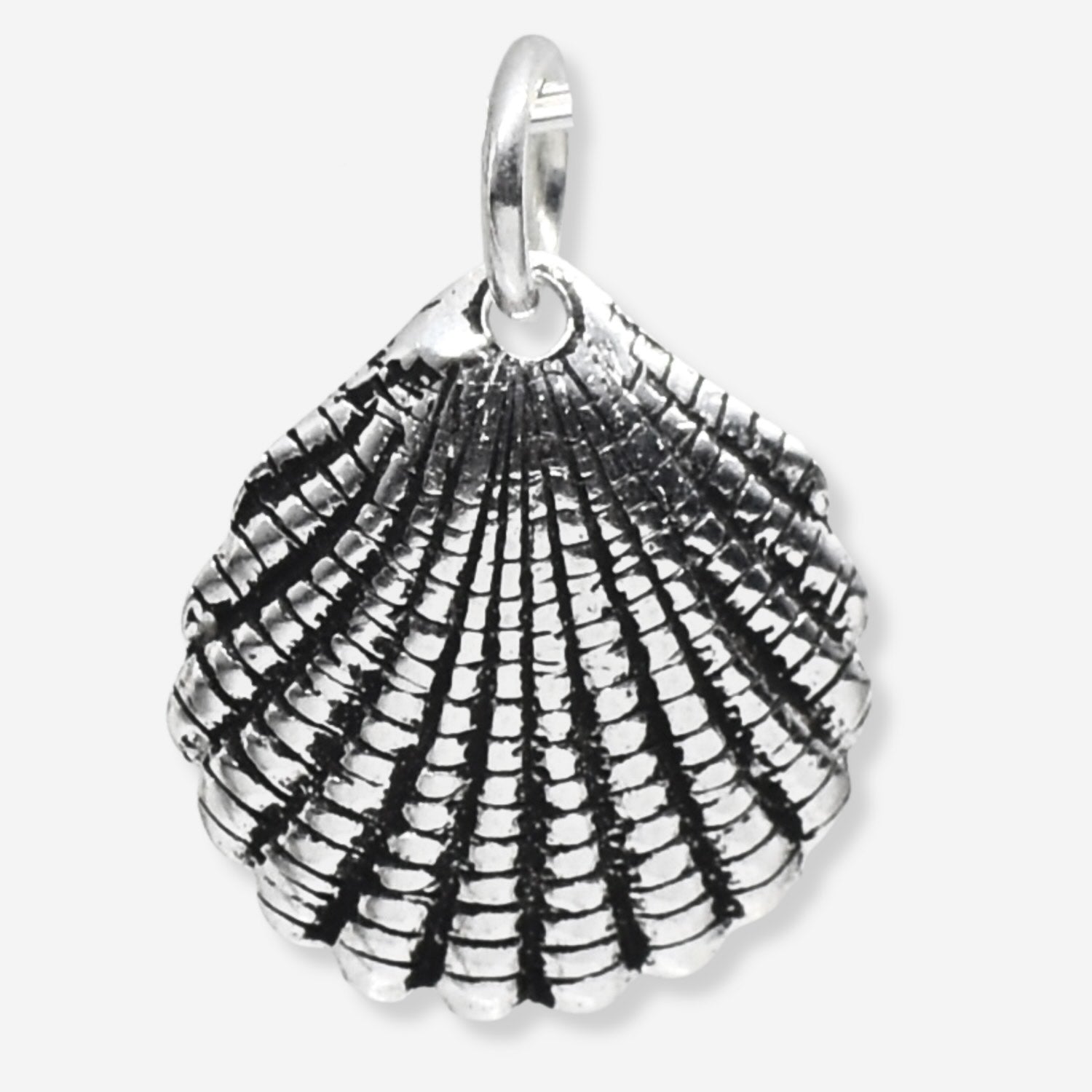 Silver shell pendant on a white background
