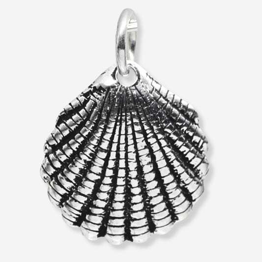 Silver shell pendant on a white background